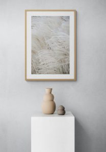 White Beige Boho DREAMS - Pampas - Studio Nahili