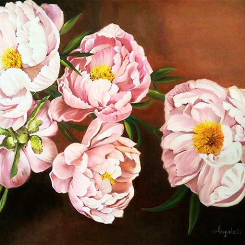 Peonie Rosa - Anna Rita Angiolelli