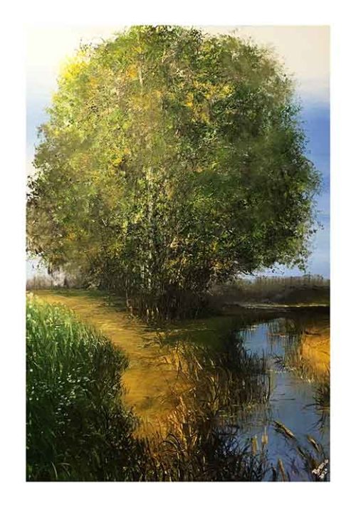 On The Banks of Brook - Tomasz Groma