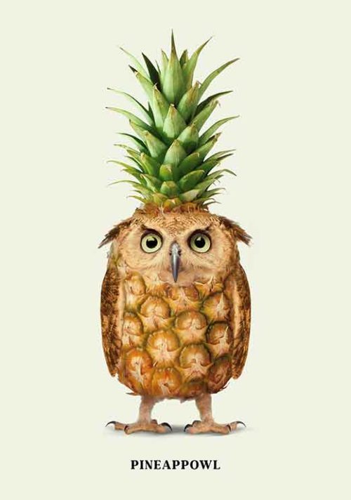 Pineappowl - Jonas Loose