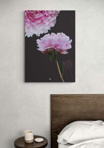 Peony - FRA SØS