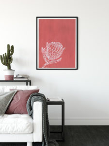 Protea - Agave Designs