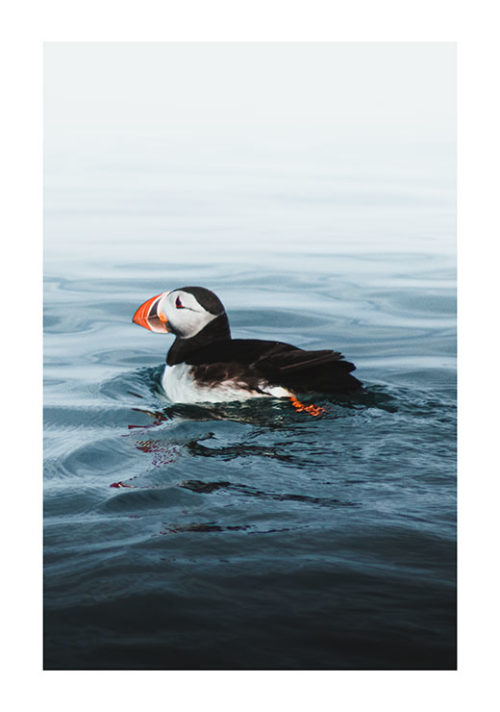 An Atlantic Friend - Gustav Mørch