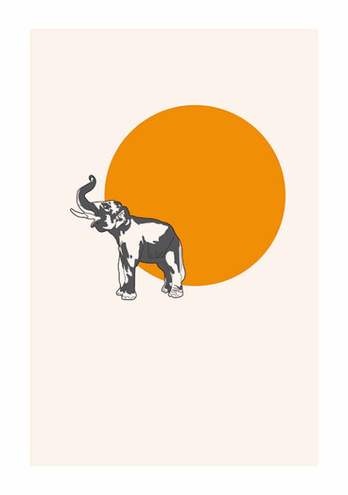 Sunset Elephant - Claudia Talley