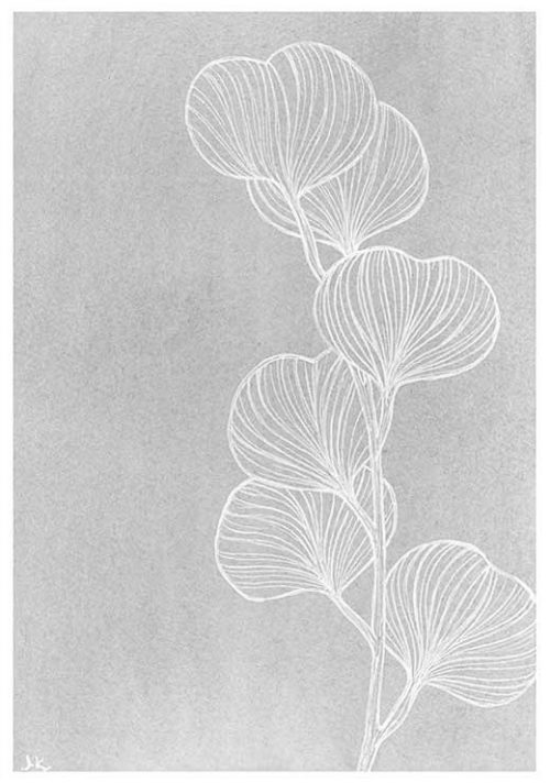 Silver Dollar Eucalyptus #2 BW - Agave Designs