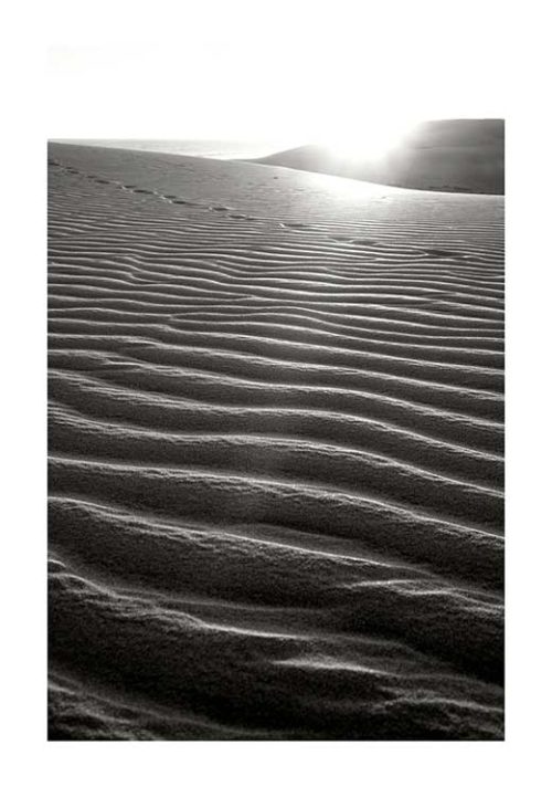 Dunes 2 BW - Karolina Nowosielska