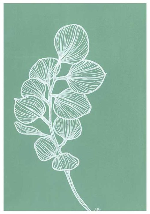 Silver Dollar Eucalyptus - Agave Designs