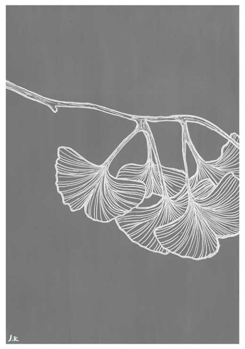 Ginkgo BW - Agave Designs