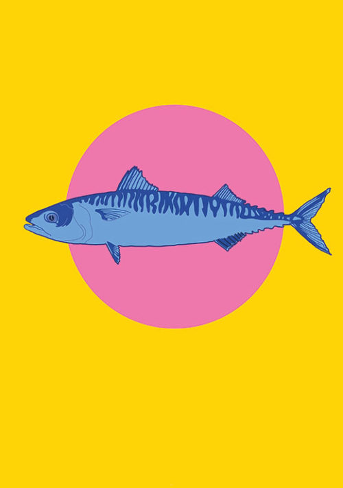 Pink Mackerel - Claudia Talley